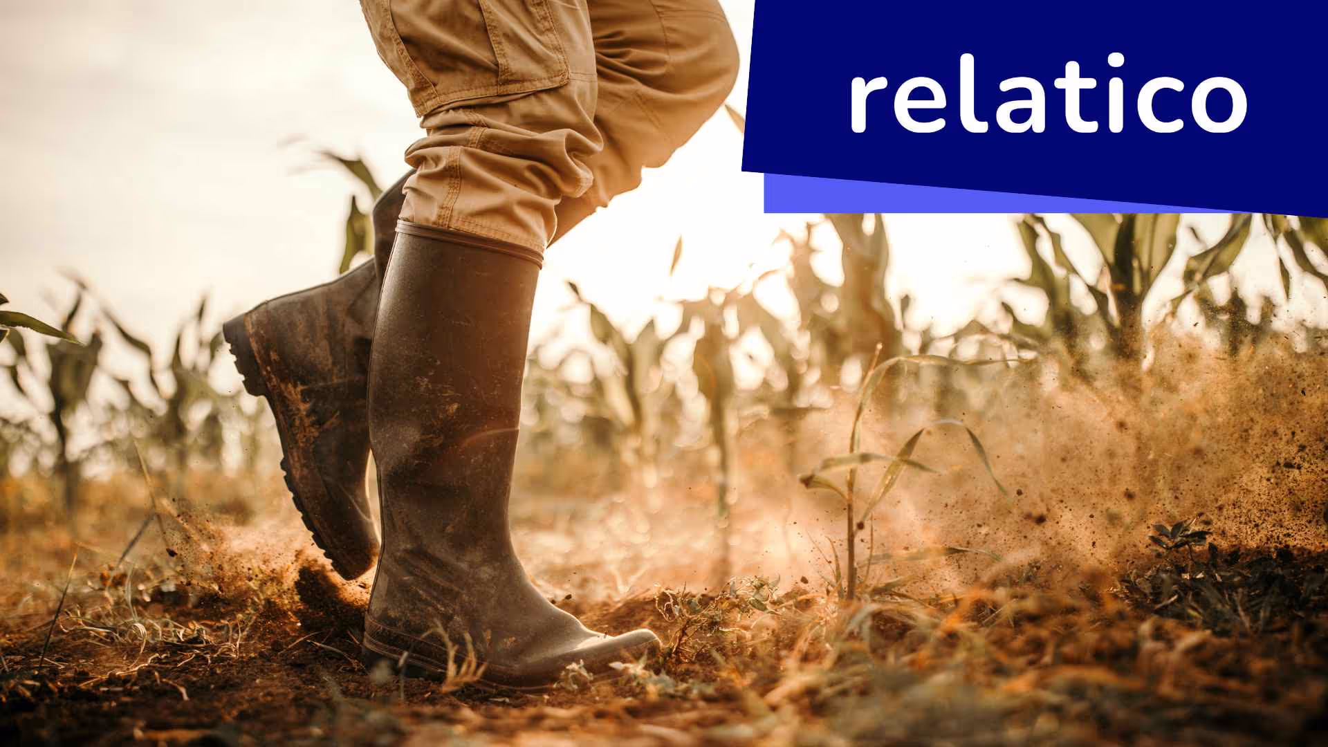 Erfahren Sie mehr über die Wirksamkeit von Kleinbauernprojekten und direkten Geldtransfers im Rahmen von SRM-Software und Nachhaltigkeit. Erfahren Sie, wie die innovative Grundeinkommensinitiative von Give Directly in Kenia die traditionelle Agrarhilfe umgestaltet, eine nachhaltige Entwicklung fördert und das Potenzial von SRM-Software zur Unterstützung von wirtschaftlichem Empowerment und Umweltschutz demonstriert.