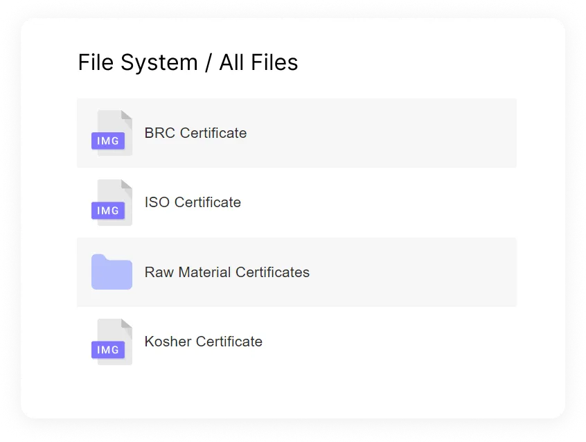 Store your data in one place with our file system